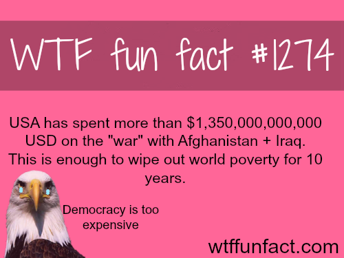 Democracy costs a lot
