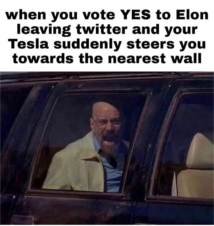 Another Elong meme