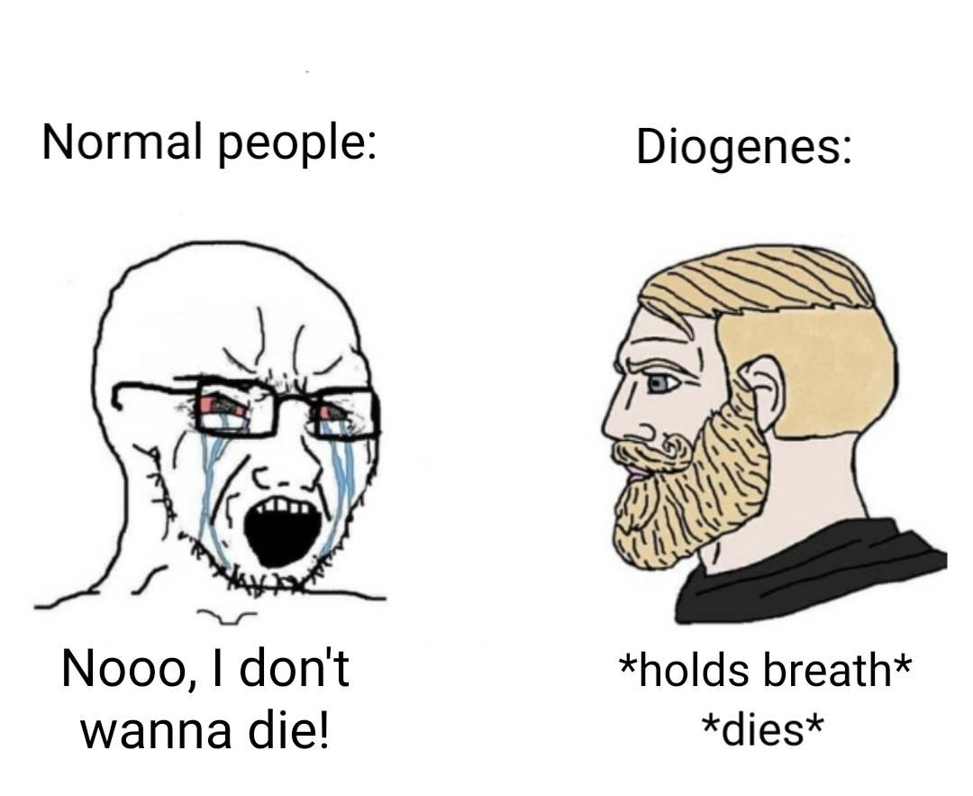 Diogenes life is absolutely crazy