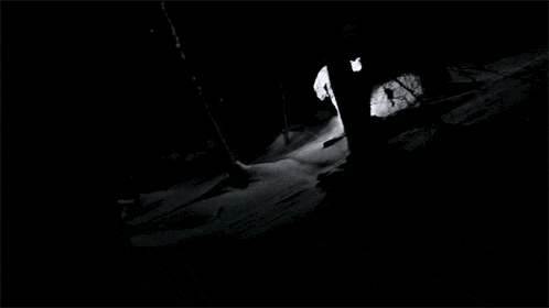 LED Snowboarding