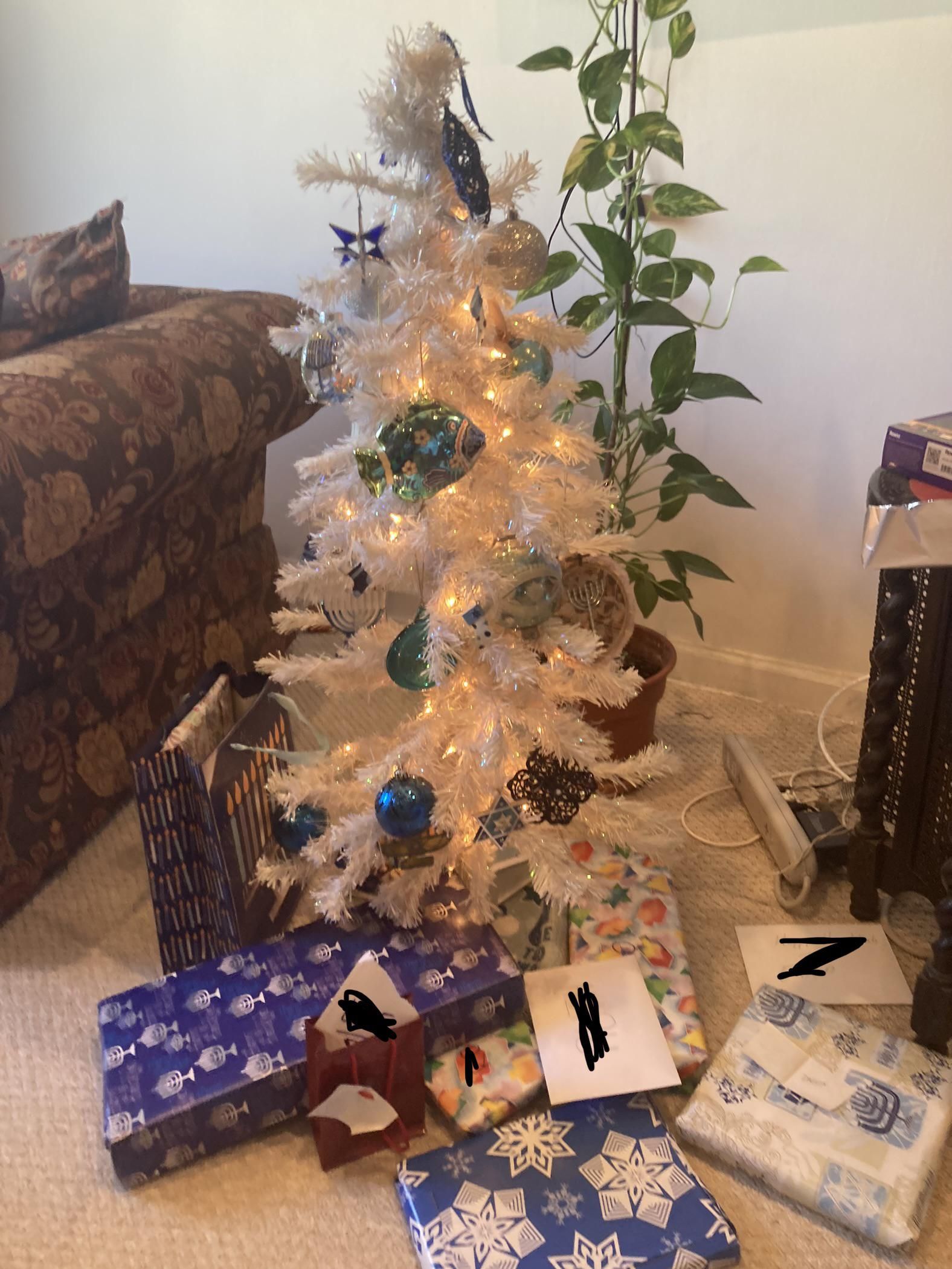 My family Jewish, so instead of getting a Christmas tree we got a Hanukkah bush