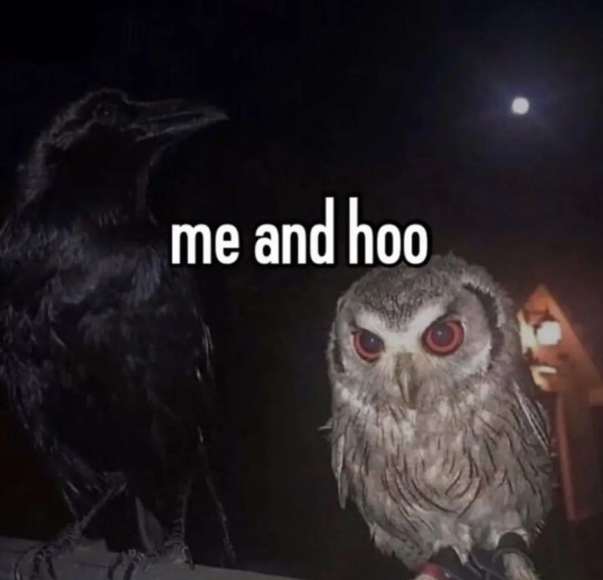 Hoo?