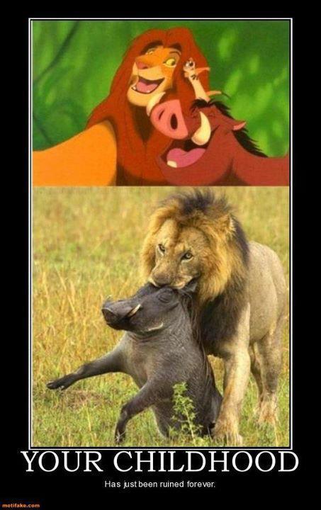 Poor Pumba :(