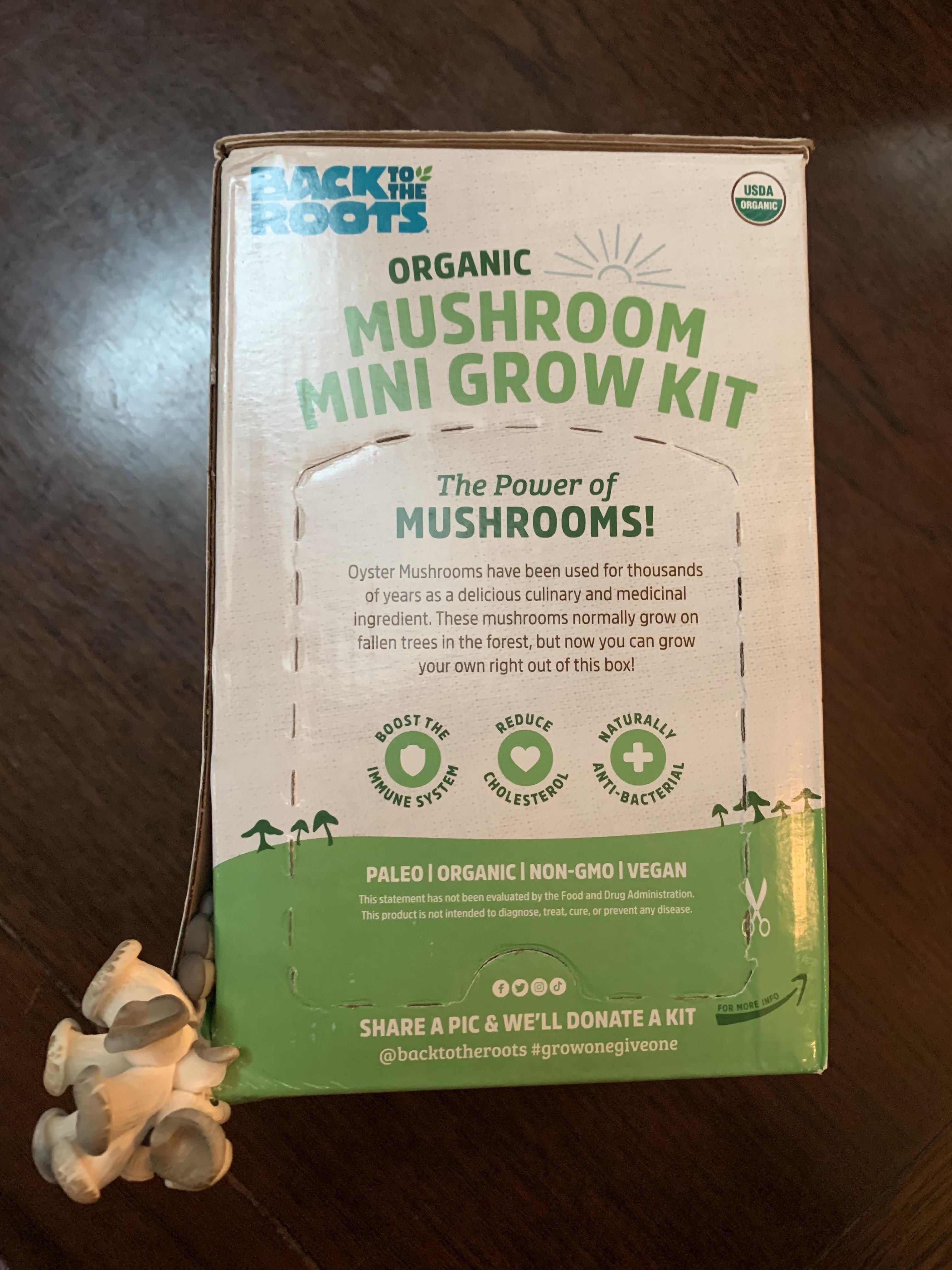 My mushroom growing kit got tired of waiting for me to set it up properly.
