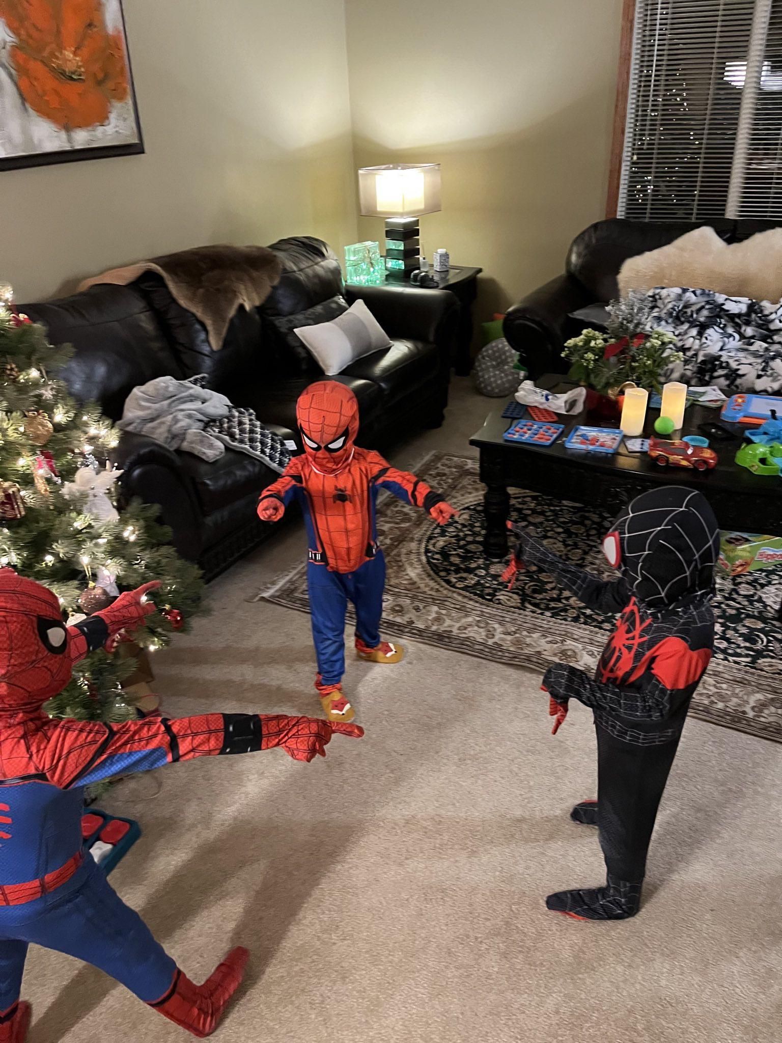 The kids wanted spiderman costumes.. did not disappoint