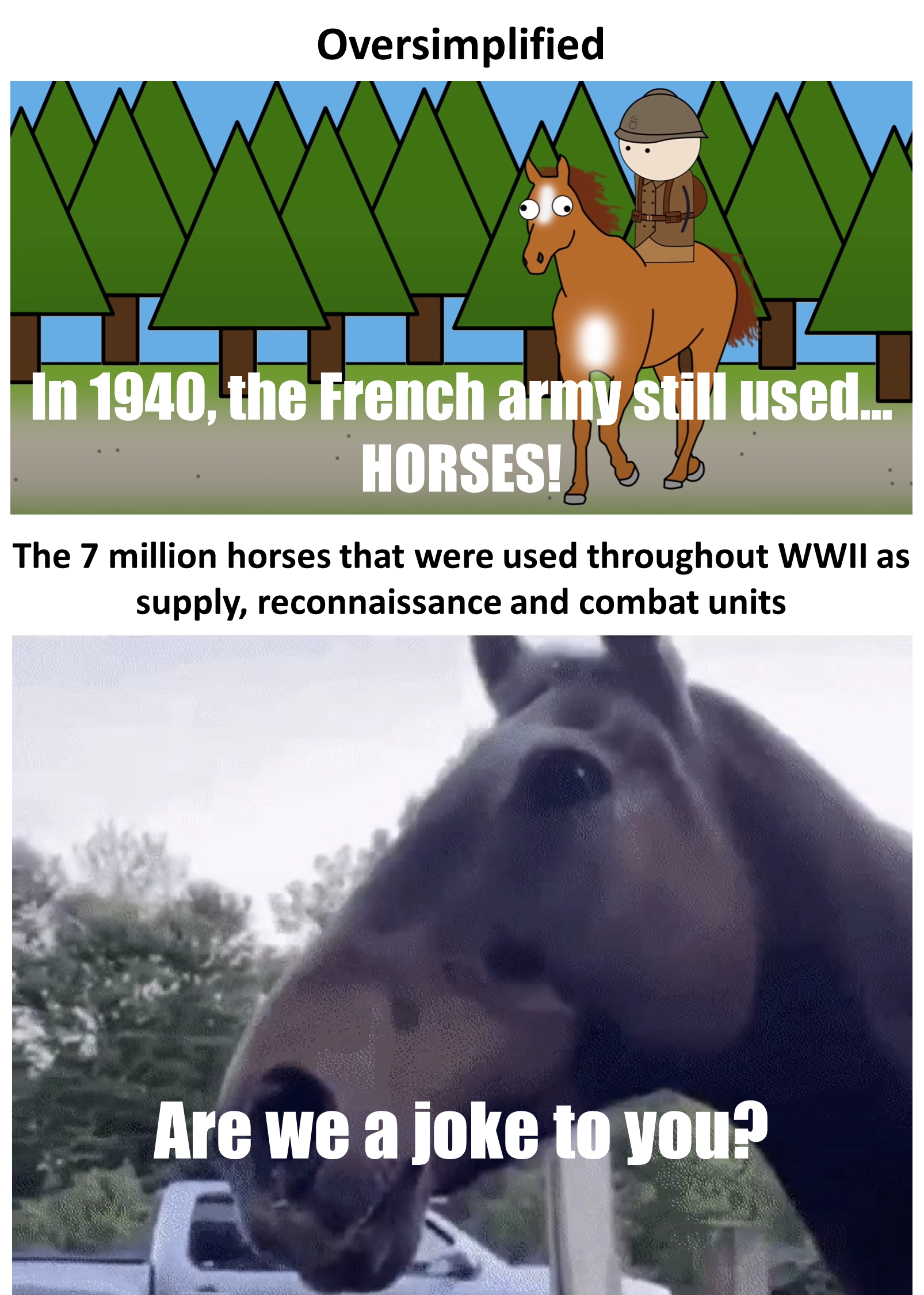 War horses were still a thing back then...