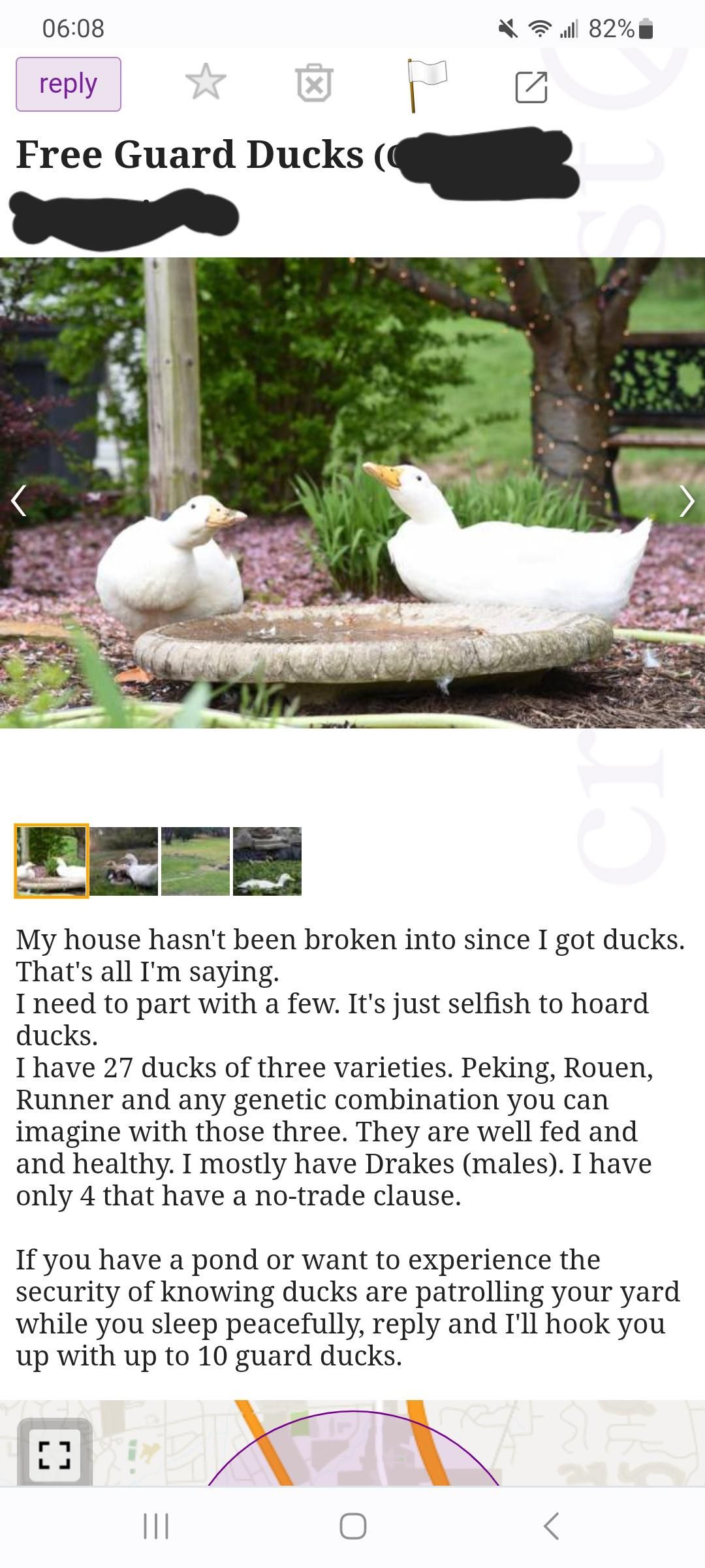 Security duck system