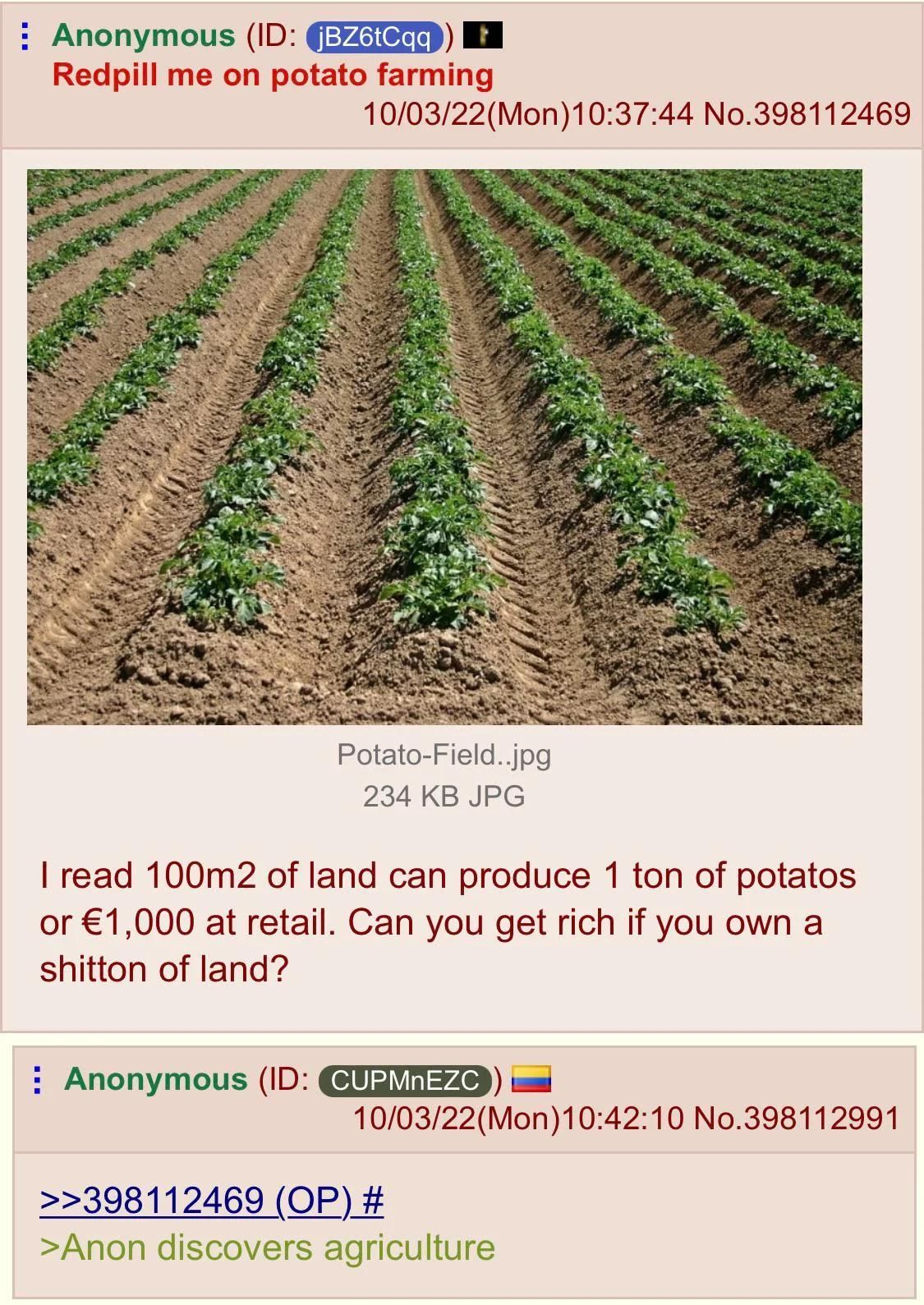 Potato farming