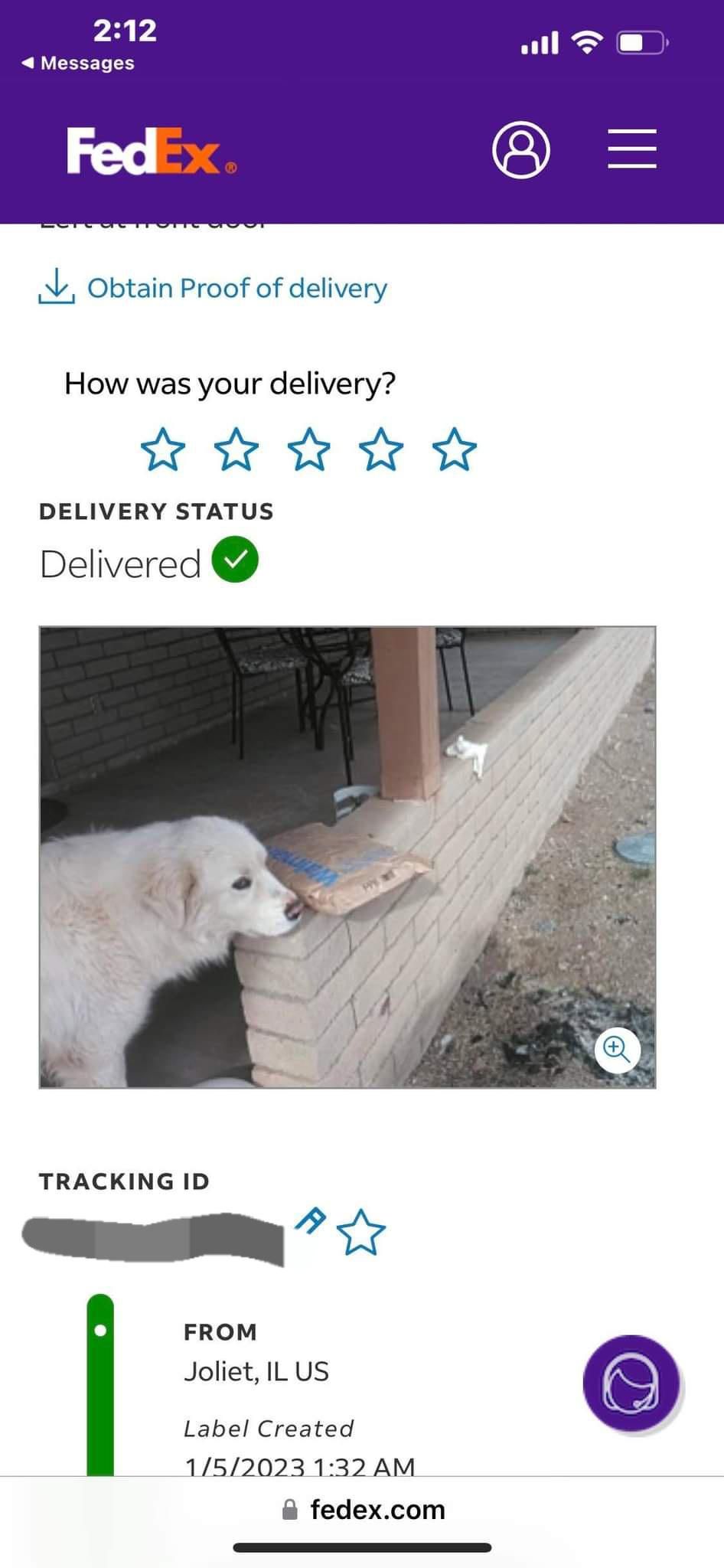 My FedEx driver has befriended my dog. This is one delivery confirmation photo of many.