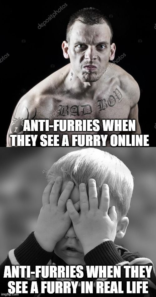 Another Furry Related Post