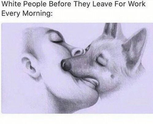 respect the love between a man and his dog