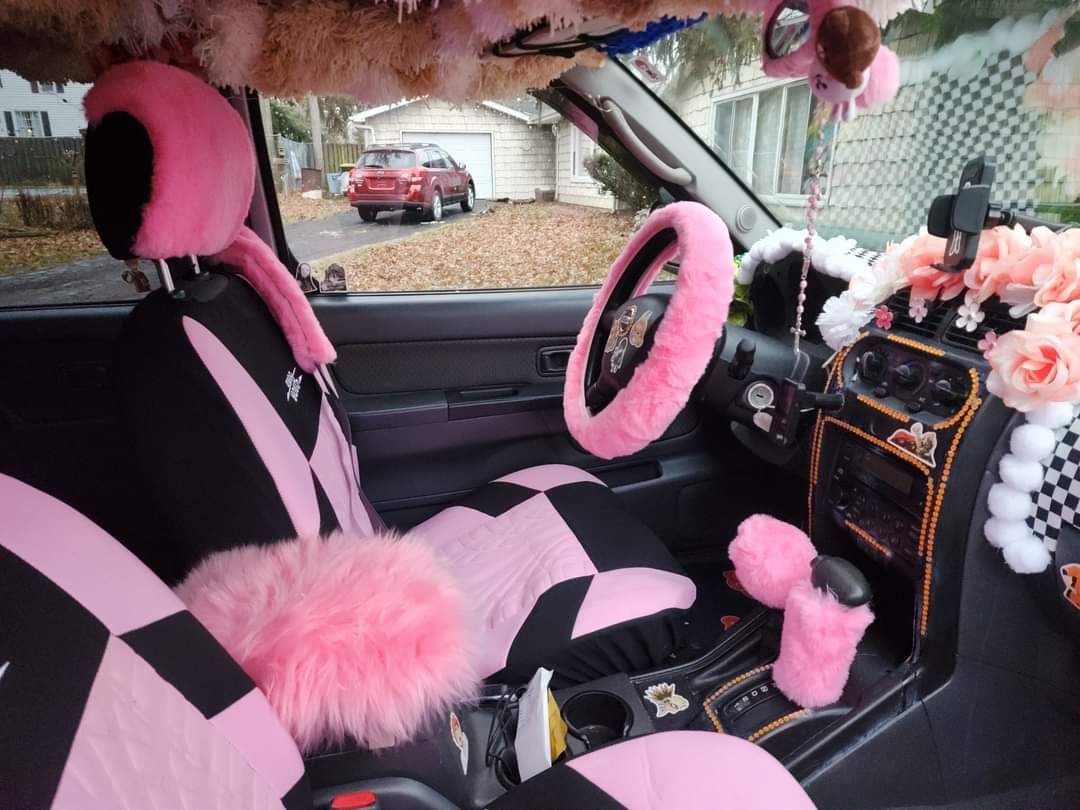 My niece just got her first car and was excited to decorate the interior. My niece is Mimi Bobeck.