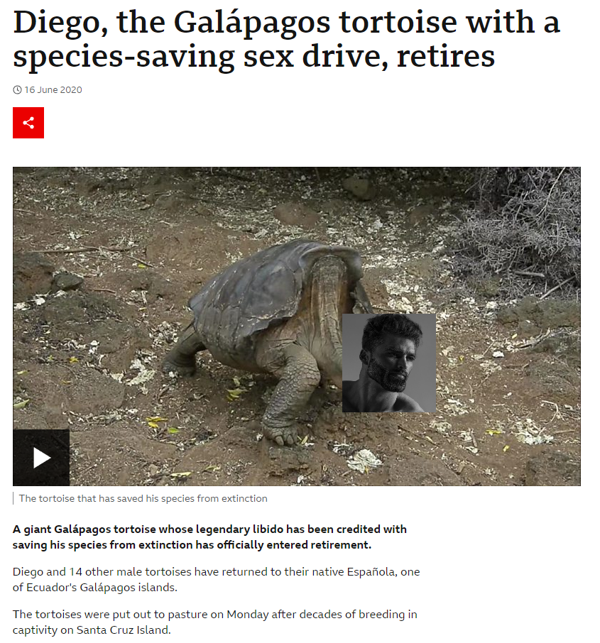 Diego, Chad amongst the tortoise