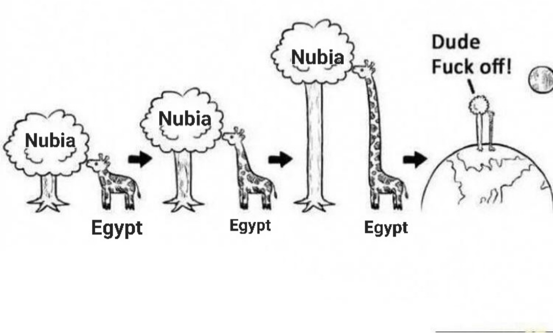 Ancient Egyptian and Nubian relations in a shellnut