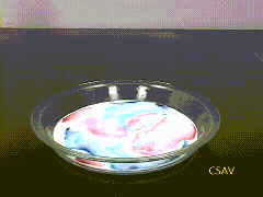 Milk+food coloring+a drop of dish soap