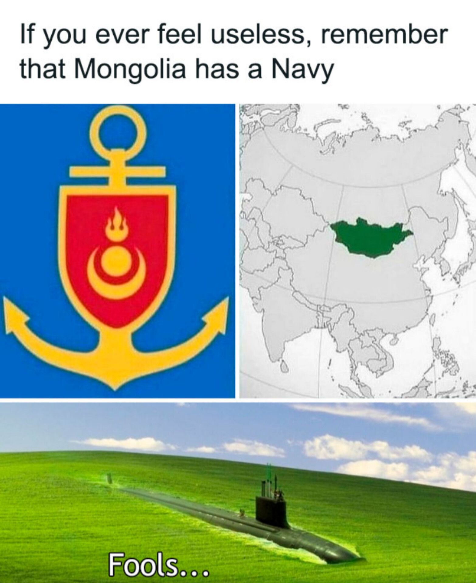 Mongolia's navy