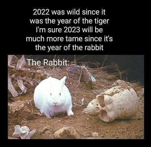 The year of the rabbit... oh no!