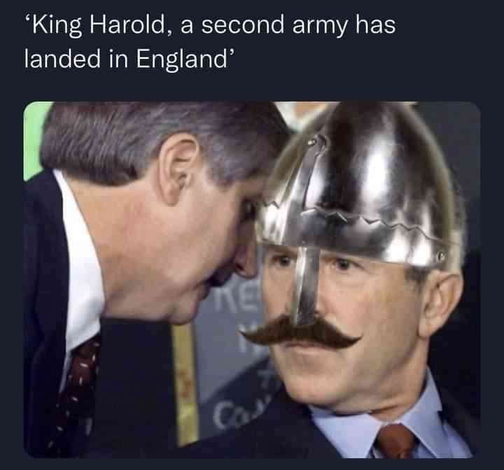 King Harald, a second army has landed in England