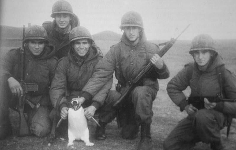 The final penguin general is captured, putting an end to the devastating, decade-long Argentine-Arctic war
