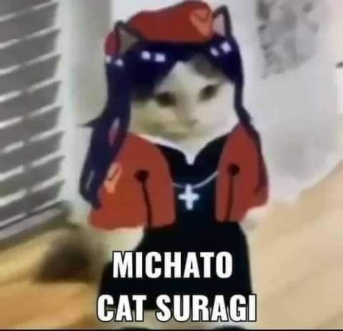 Miau :3