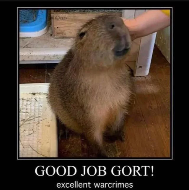 Gort