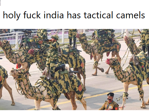 tactical camel superiority