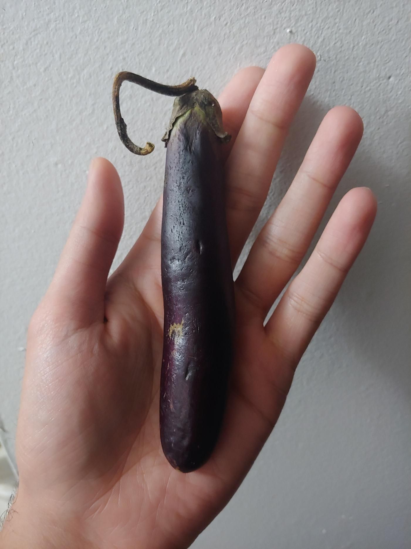 Finally an eggplant representative of the average man