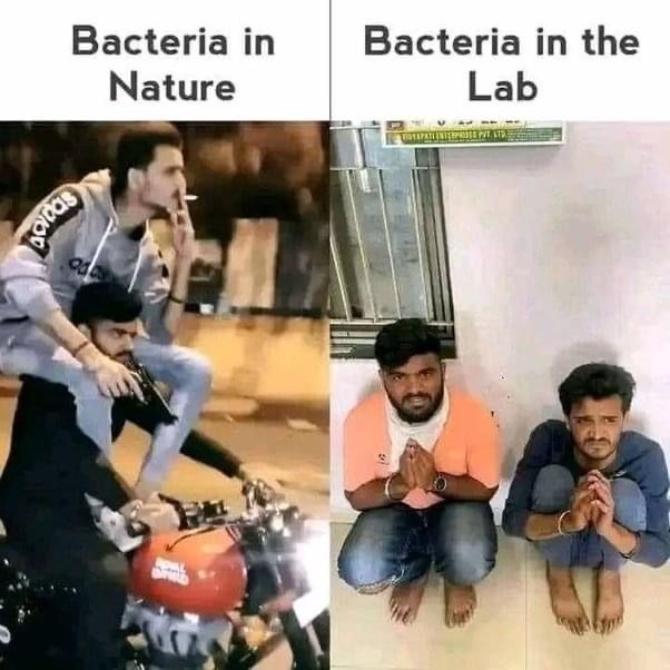Scientifically true
