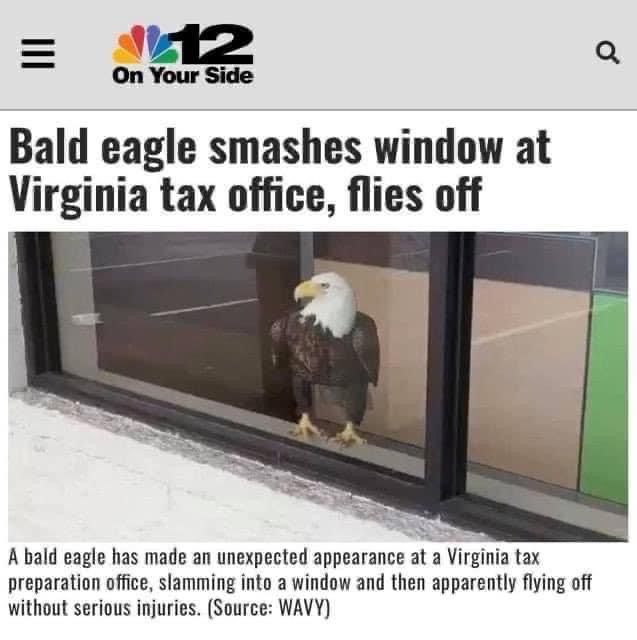*** your taxes