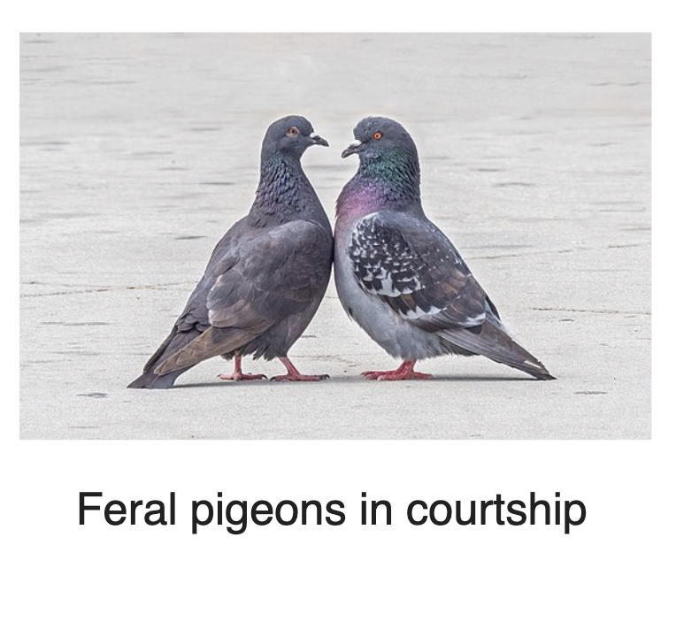 Me and who?
