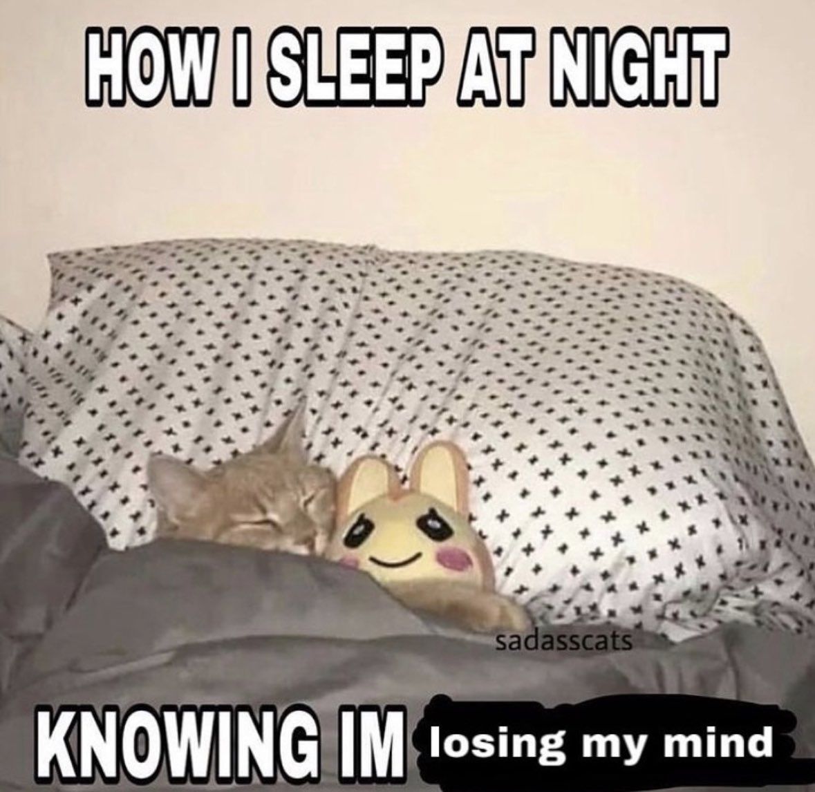 gn 