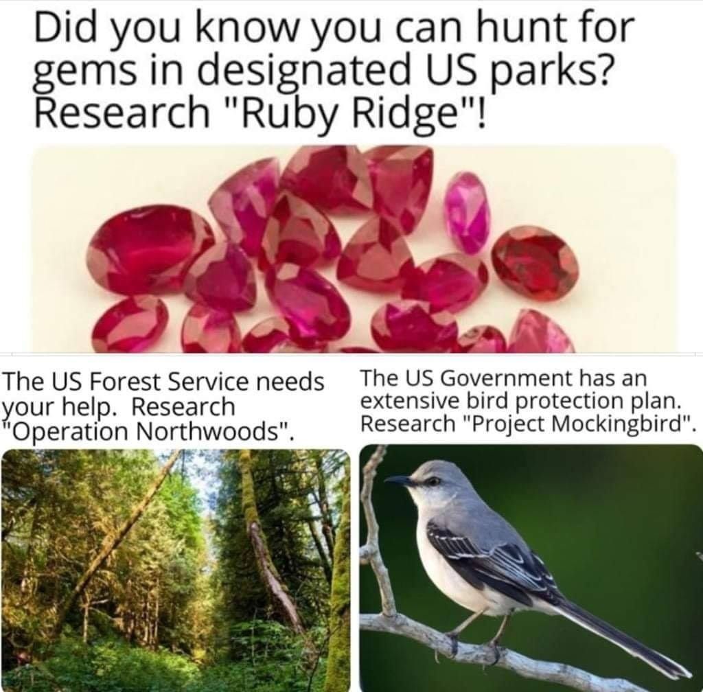 Ruby ridge