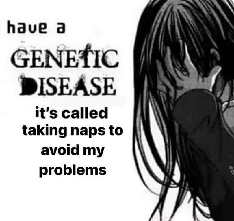 napping all day everyday
