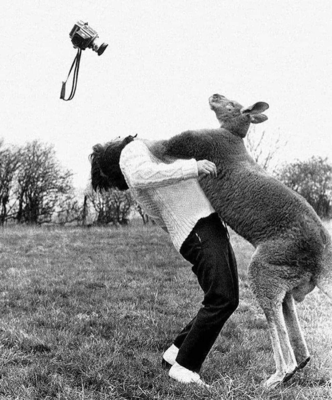 Andrew the giant, the world's first invisible photographer took a picture of the final punch in the global human vs kangaroo games in 1963