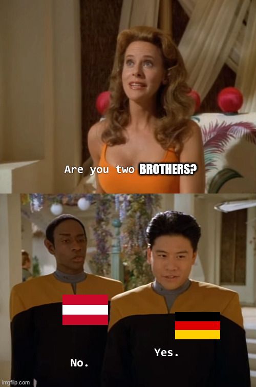 An accurate summary of the topic on how Austria and Germany view each other
