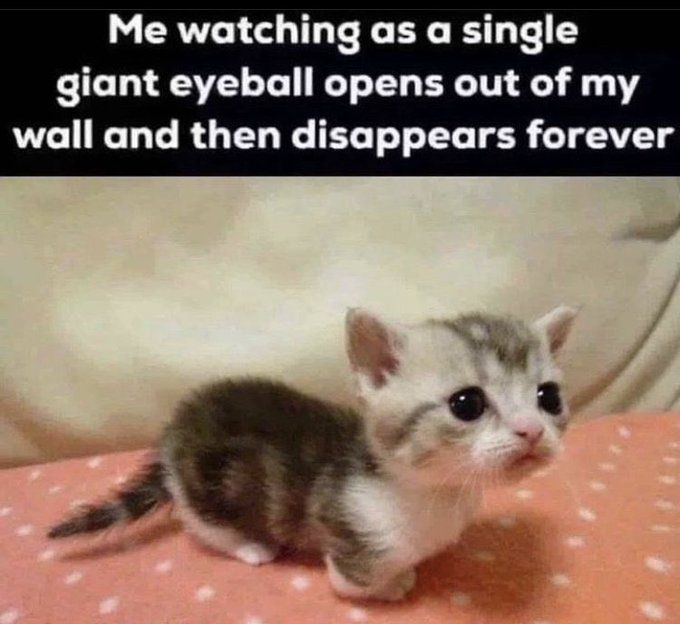 ㅤ