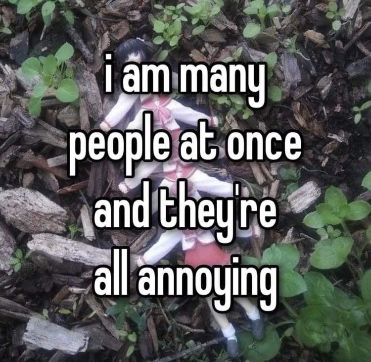 All of them, sorry