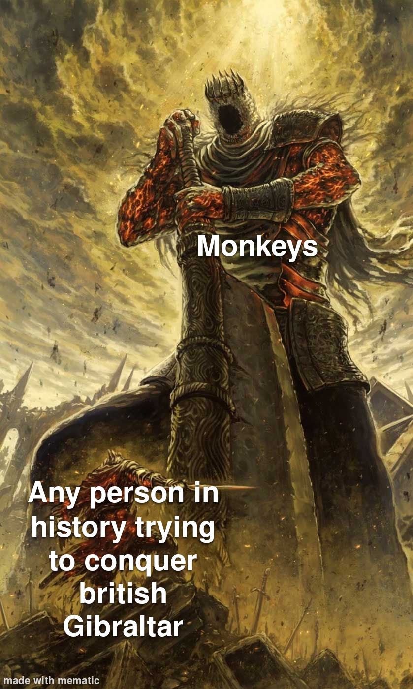 Monkeys, the protectors of the British