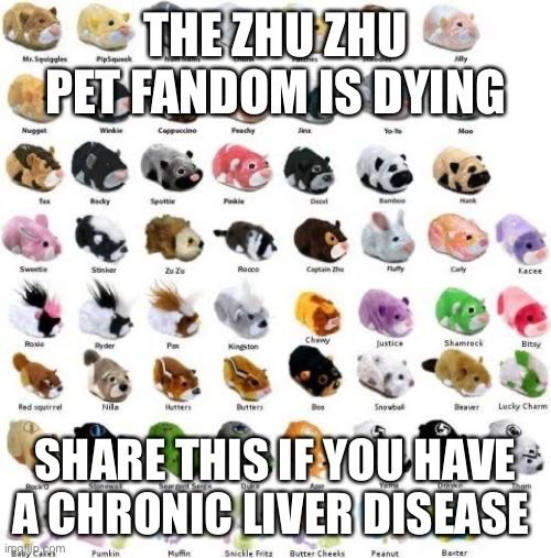 Zhu zhu