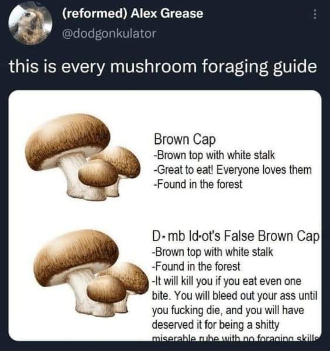 mushroom pls