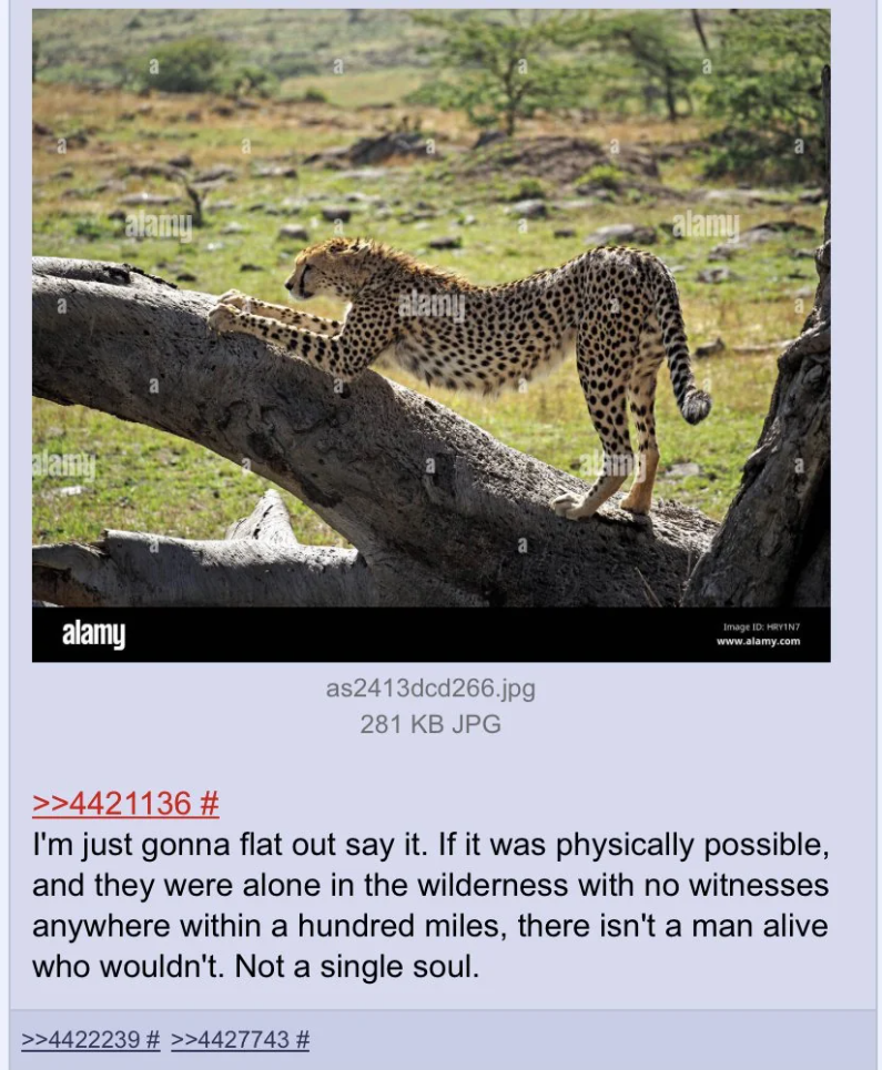 anon is a believer