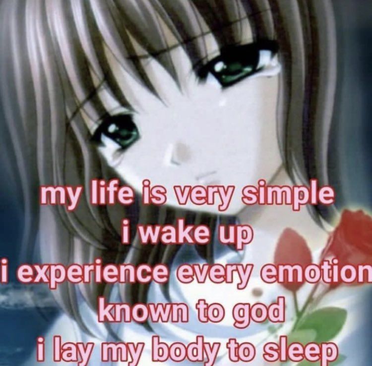 The ethernal cycle of feel and sleep