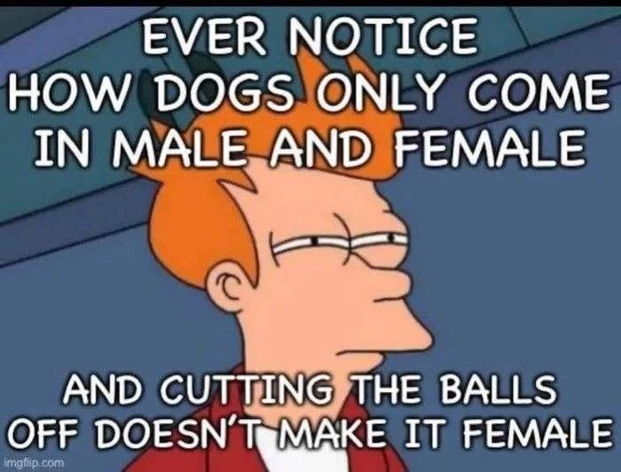Strange