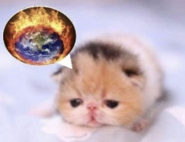 millions must purr