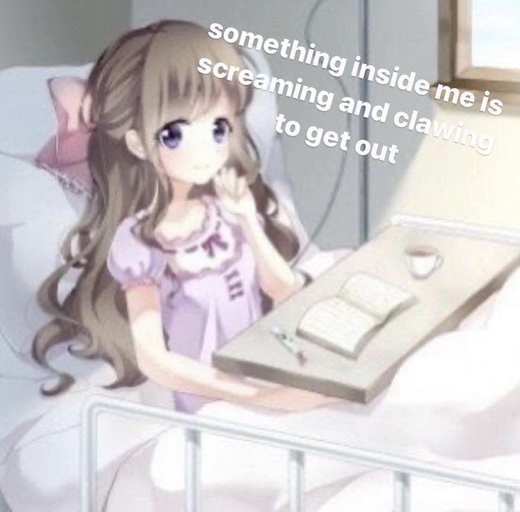 (・`ω´・)