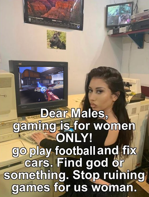 Videogamez