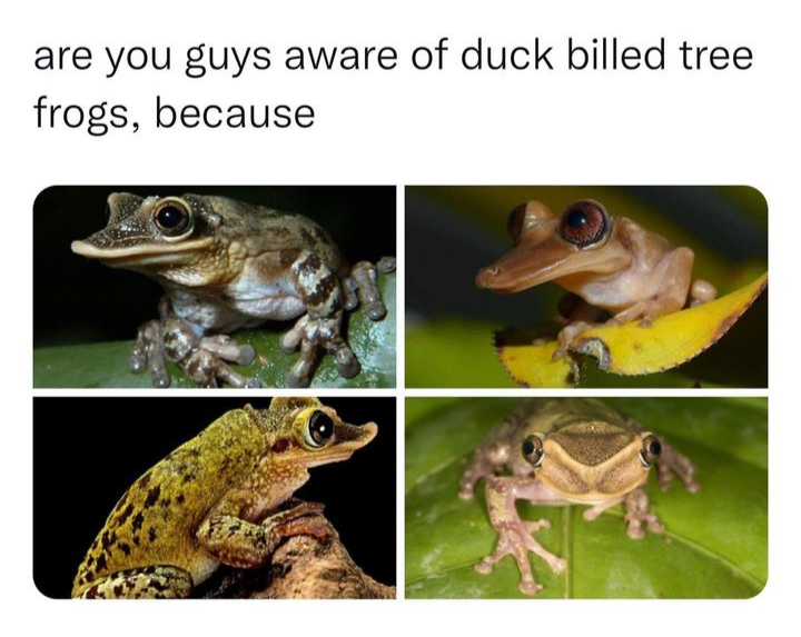 I'm glad I am now
