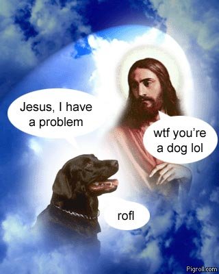 Jesus and a problem bothered dog