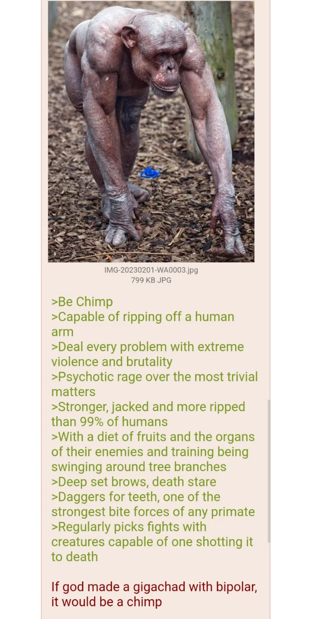 take the chimp pill