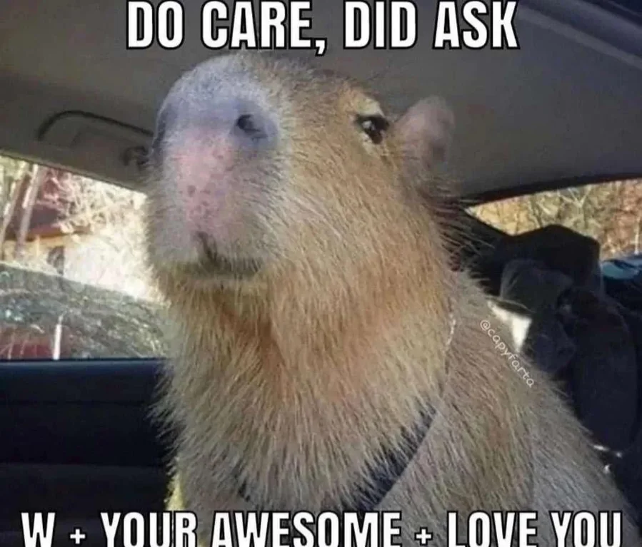 Capy